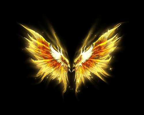 翅膀素材-2025-04-05-14：无外观，介意忽下-游戏素材网